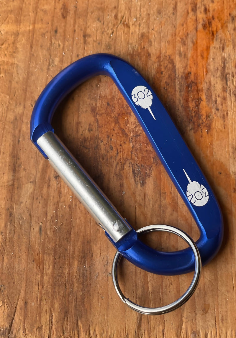 Carabiner key chain