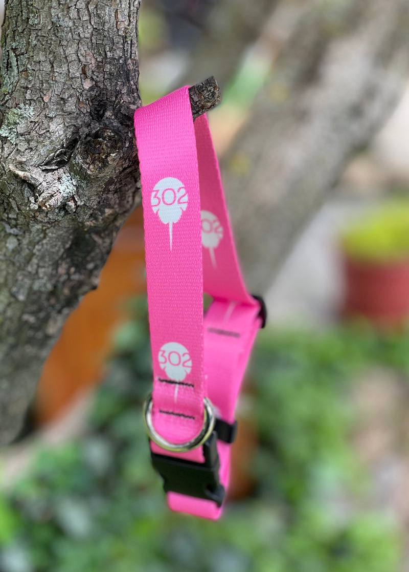 302 Dog collar, 2 colors