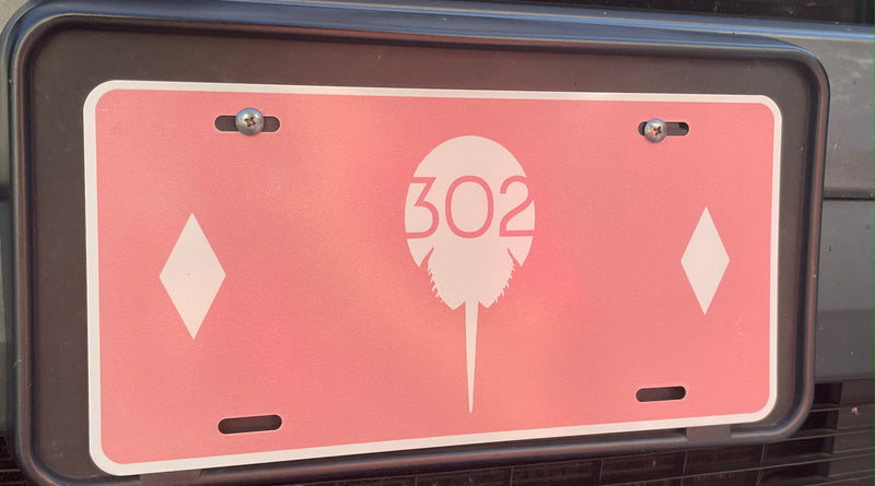 Front license plate