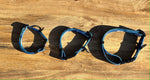 2023 - 302 Dog Collar and Leash